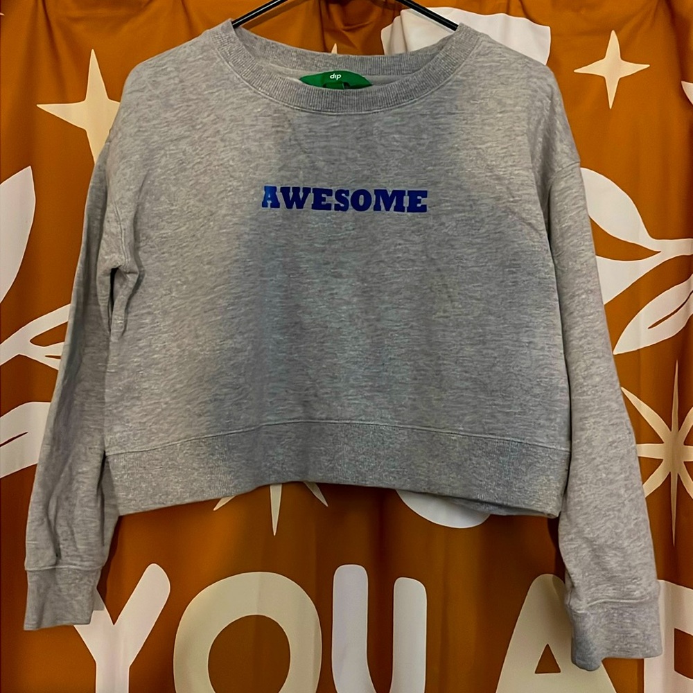 Women’s Dip AWESOME crop sweatshirt Gray/Blue Sz L